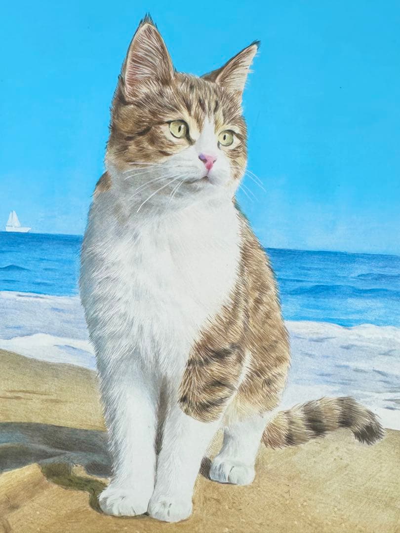 原画　色鉛筆画　海と猫　A4サイズ 額縁付き　手描き　イラスト