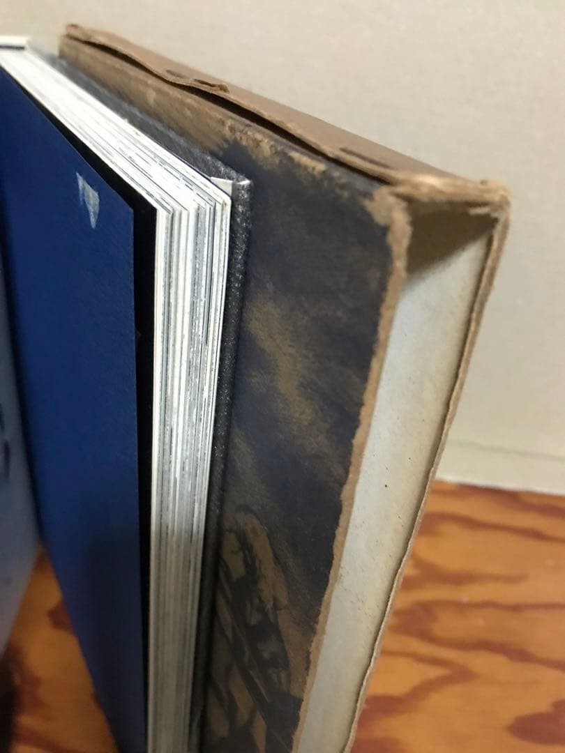 美しい日々　片山健画集　ペン署名入り　函　幻燈社元版初版　まぼろし草完備　本体美