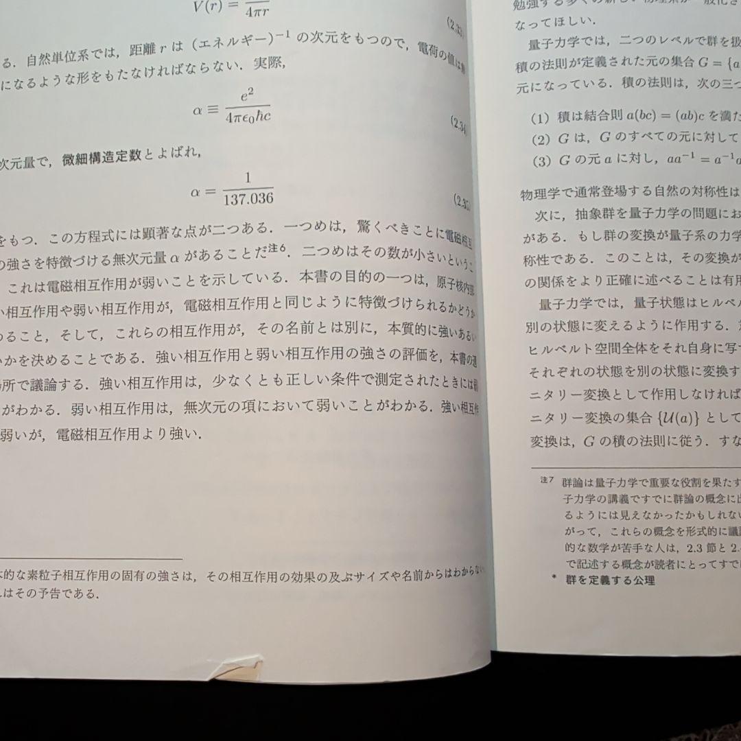 ペスキン 素粒子物理学