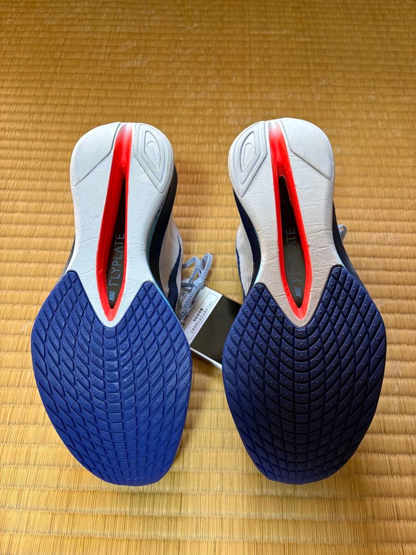 NIKEヴェイパーフライ4 25.5cm
