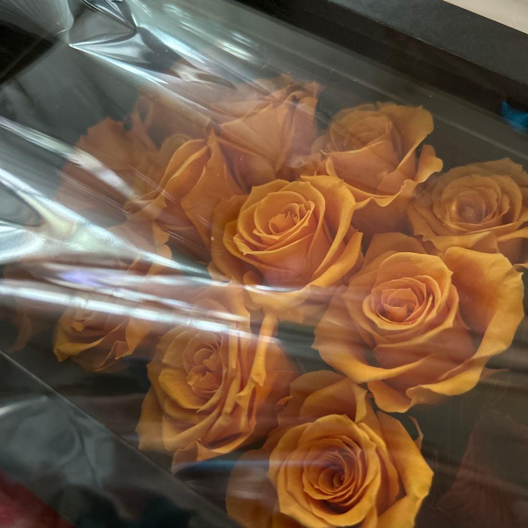 ROSEJUNO プリザーブドフラワー 12輪の薔薇 未開封 お渡し袋付