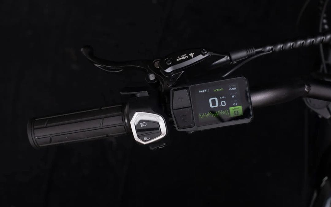 MOVE 電動アシスト自転車 CAVET II