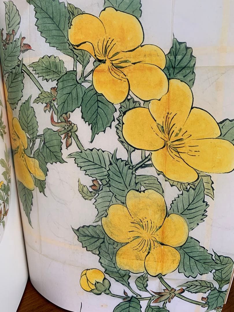 柴田是真 下絵・写生集 東京芸術大学大学美術館所蔵 二重箱で保管