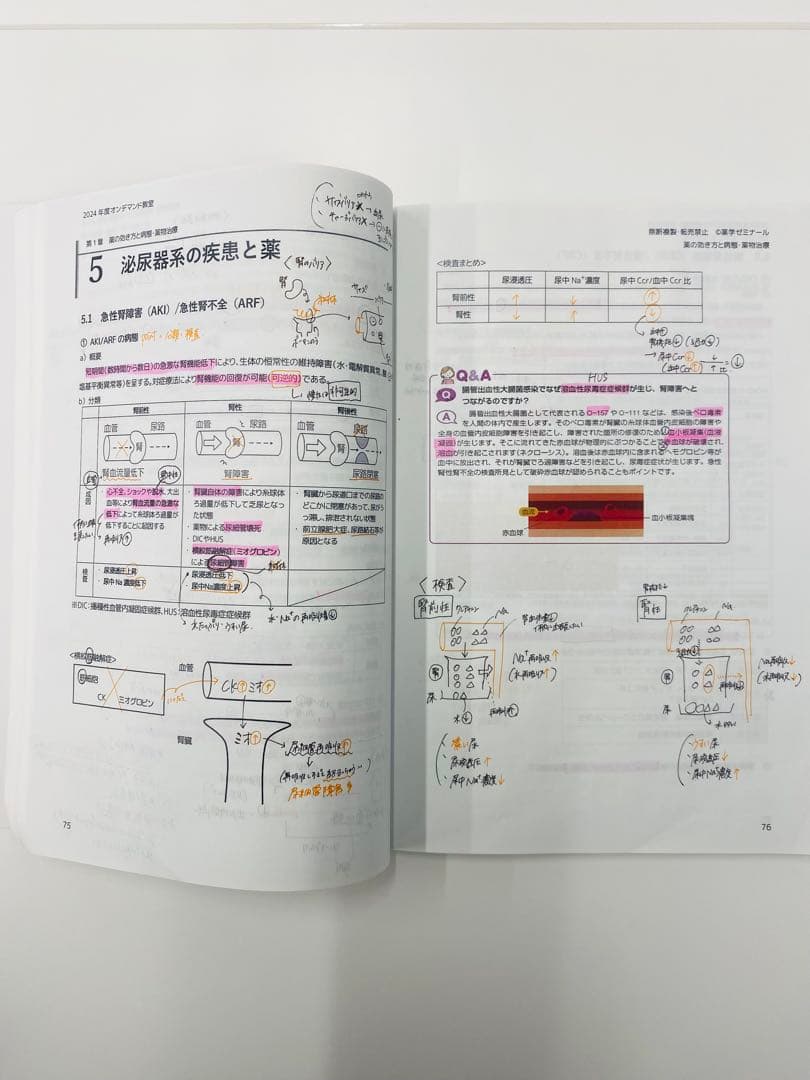 薬学ゼミナール 薬剤師国家試験 100日インプットマスター