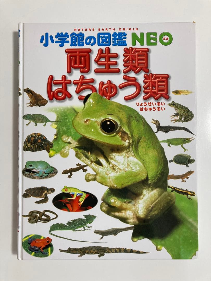 《14冊セット》小学館の図鑑NEO 小学館の子ども図鑑プレ図鑑NEO 調べ学習
