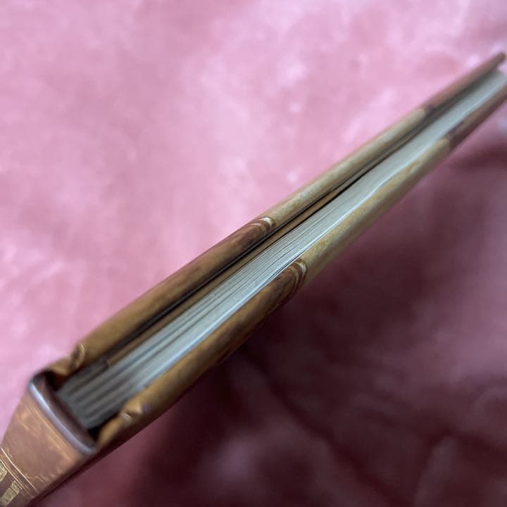 絵本 LADY COTTINGTON PRESSED FAIRYJOURNAL