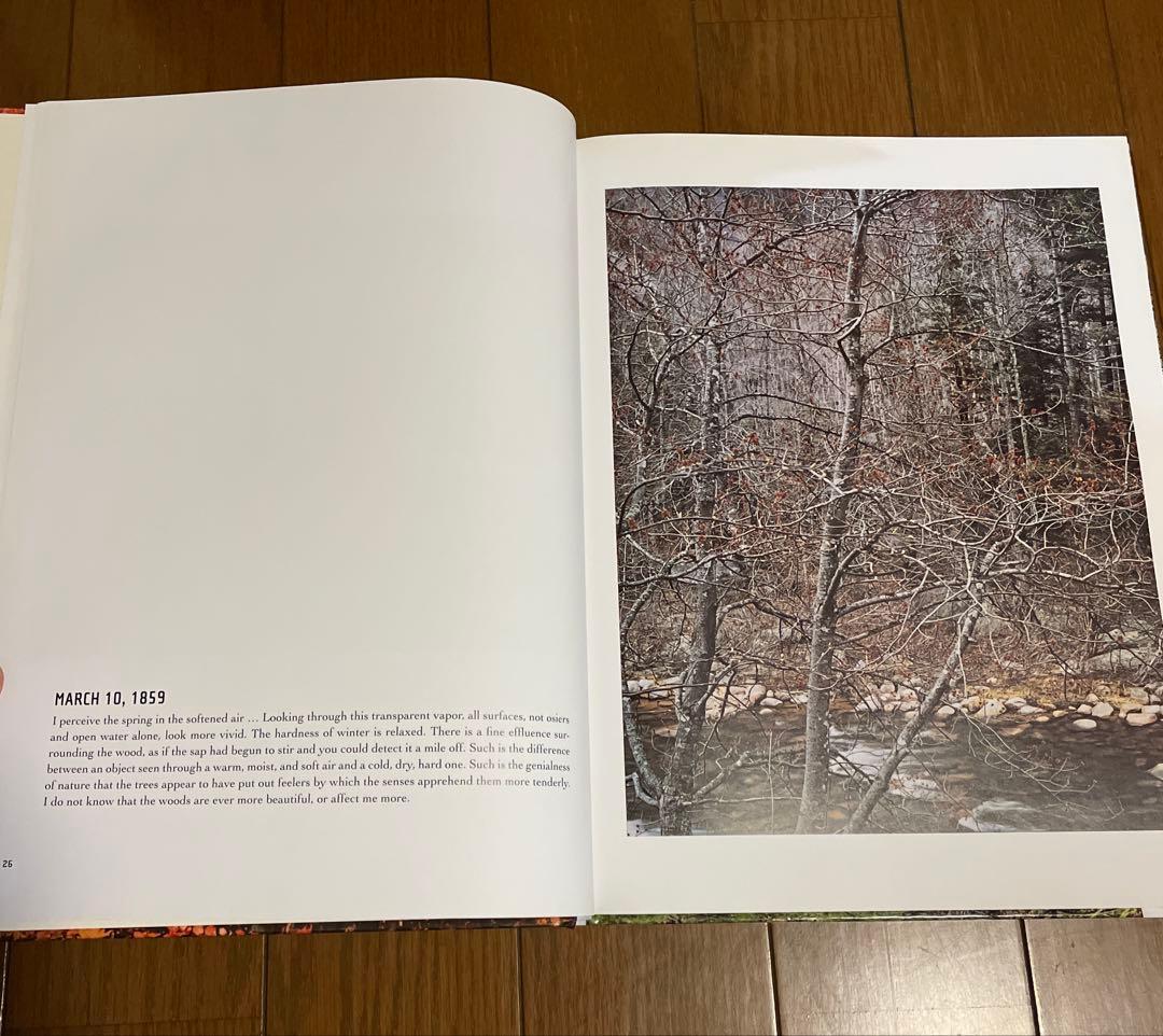 帯(汚れあり)付き eliot porter エリオット・ポーター　写真集