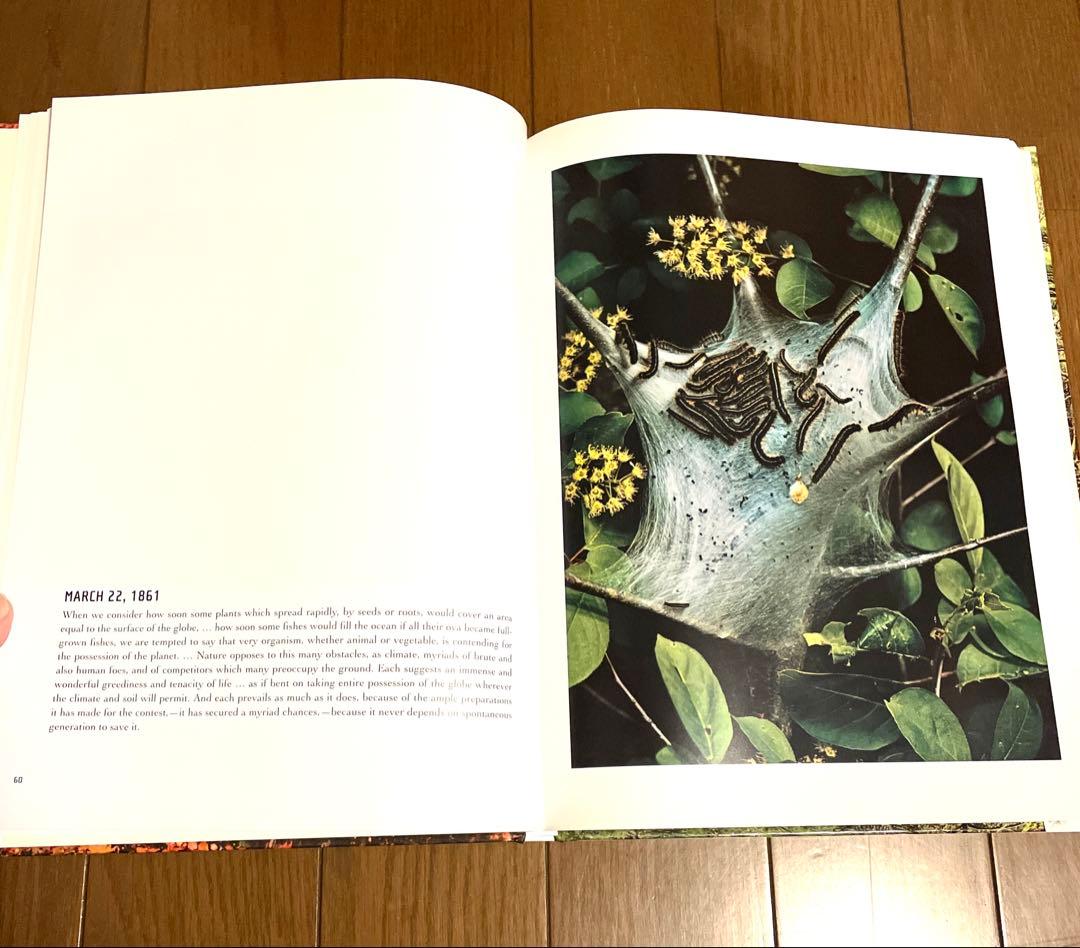 帯(汚れあり)付き eliot porter エリオット・ポーター　写真集