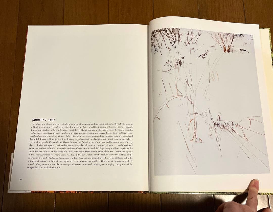 帯(汚れあり)付き eliot porter エリオット・ポーター　写真集