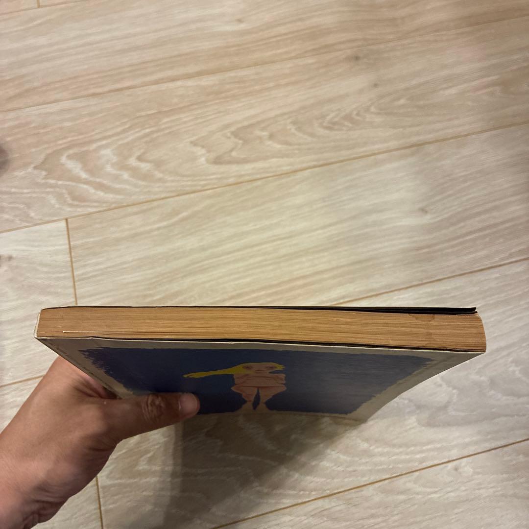 [週末値下]平凡パンチ増刊1964-1971 大橋歩表紙集