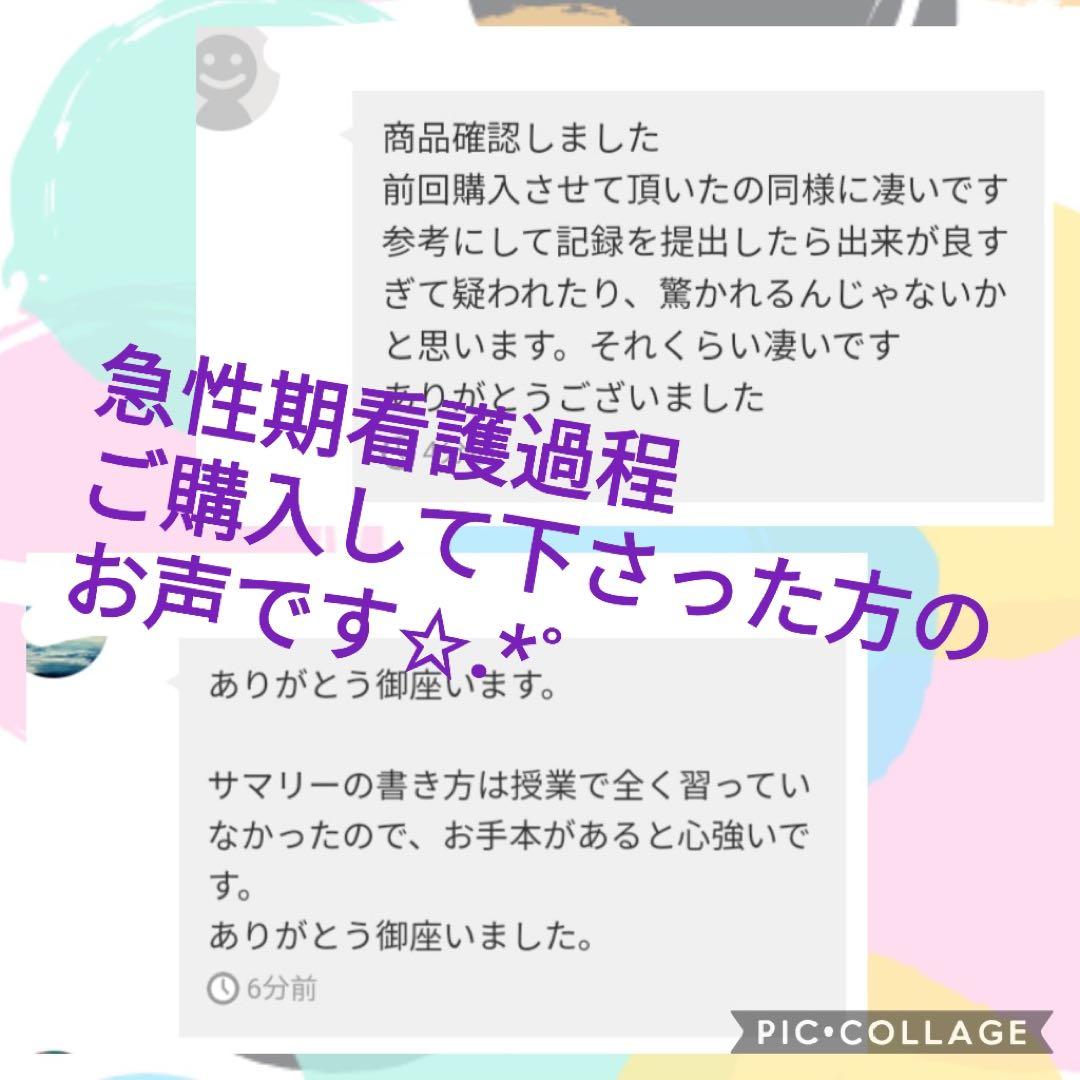 看護過程♡4点セット  看護師国家試験 看護過程　母性　老年　急性期　慢性終末期