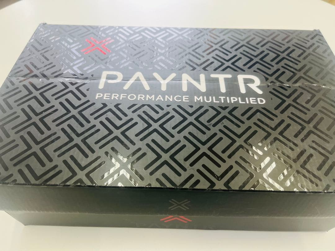 美品‼️ ペインターゴルフシューズ PAYNTR GOLF X 005