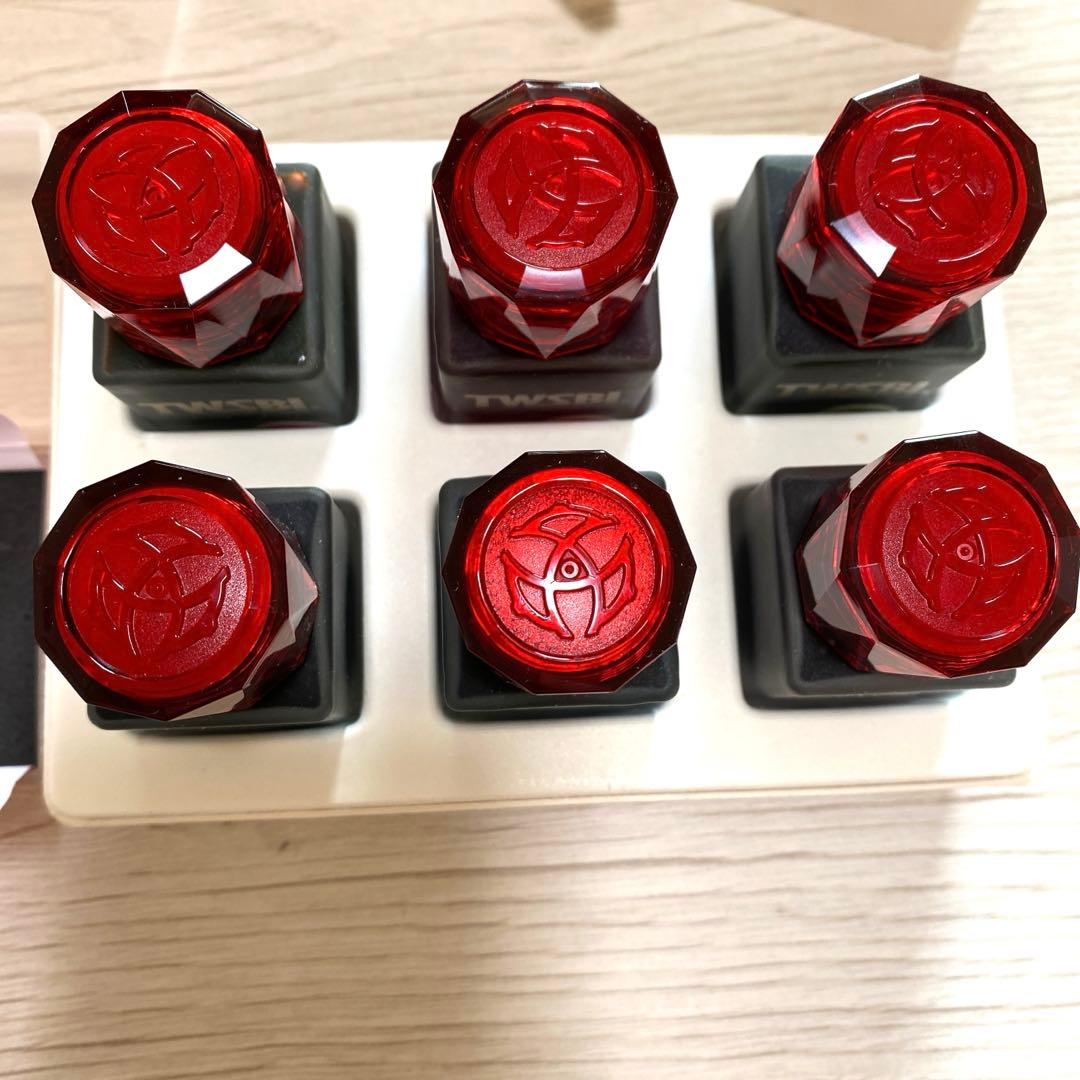 TWSBI 吸入式万年筆 ECO インク6本付き