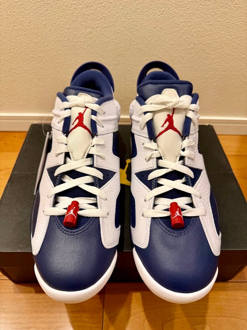 【新品】JORDAN RETRO 6 G 28.5cm