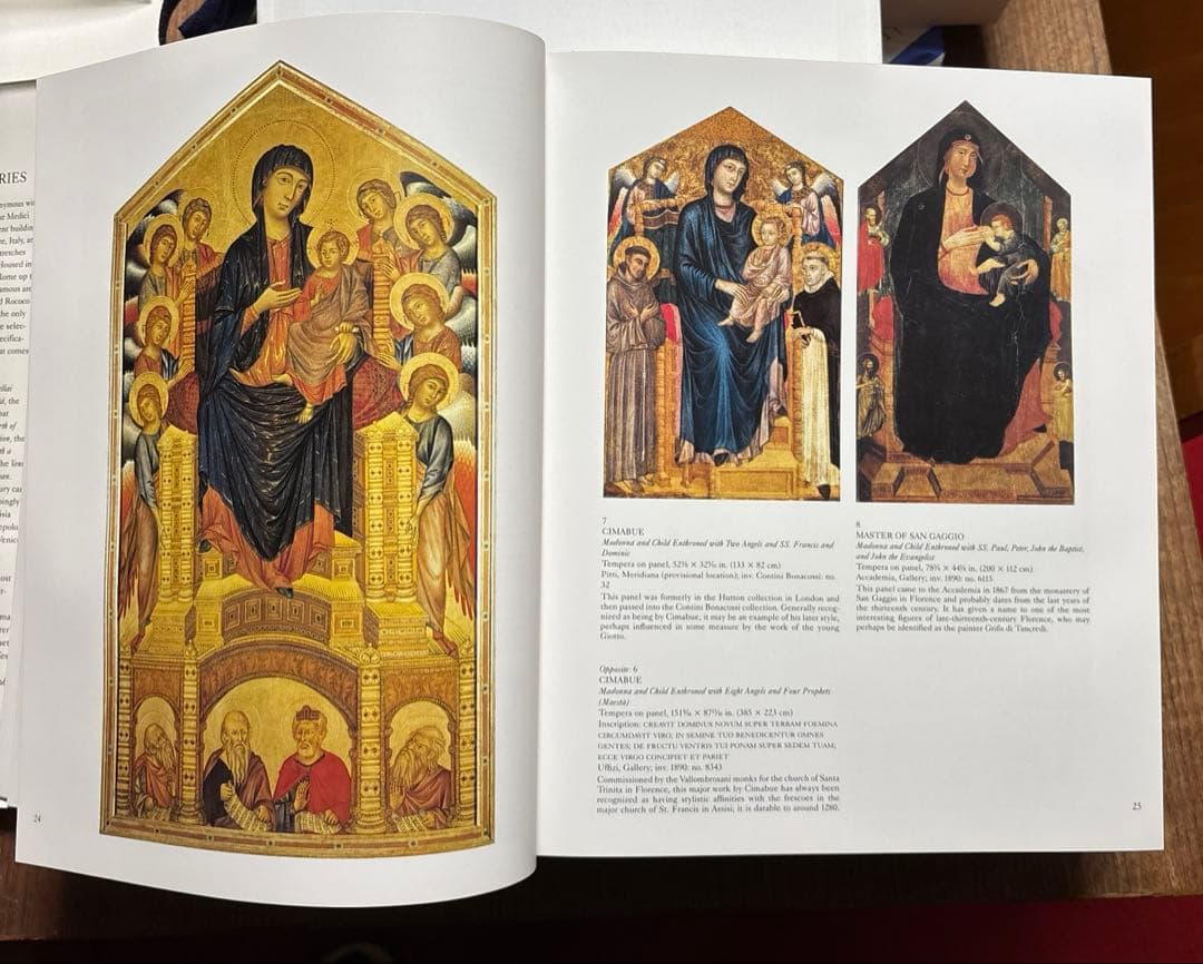 Paintings in the UFFIZI & PITTI (英文)