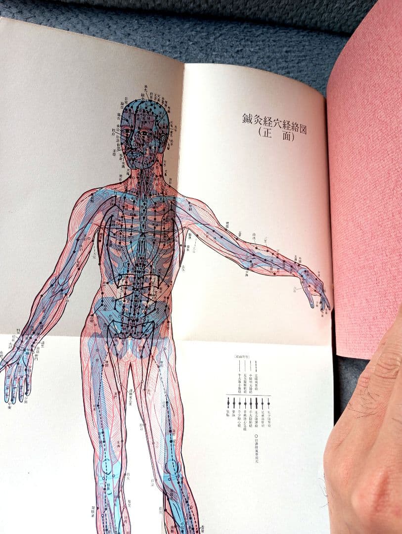 澤田流　鍼灸ノートブック