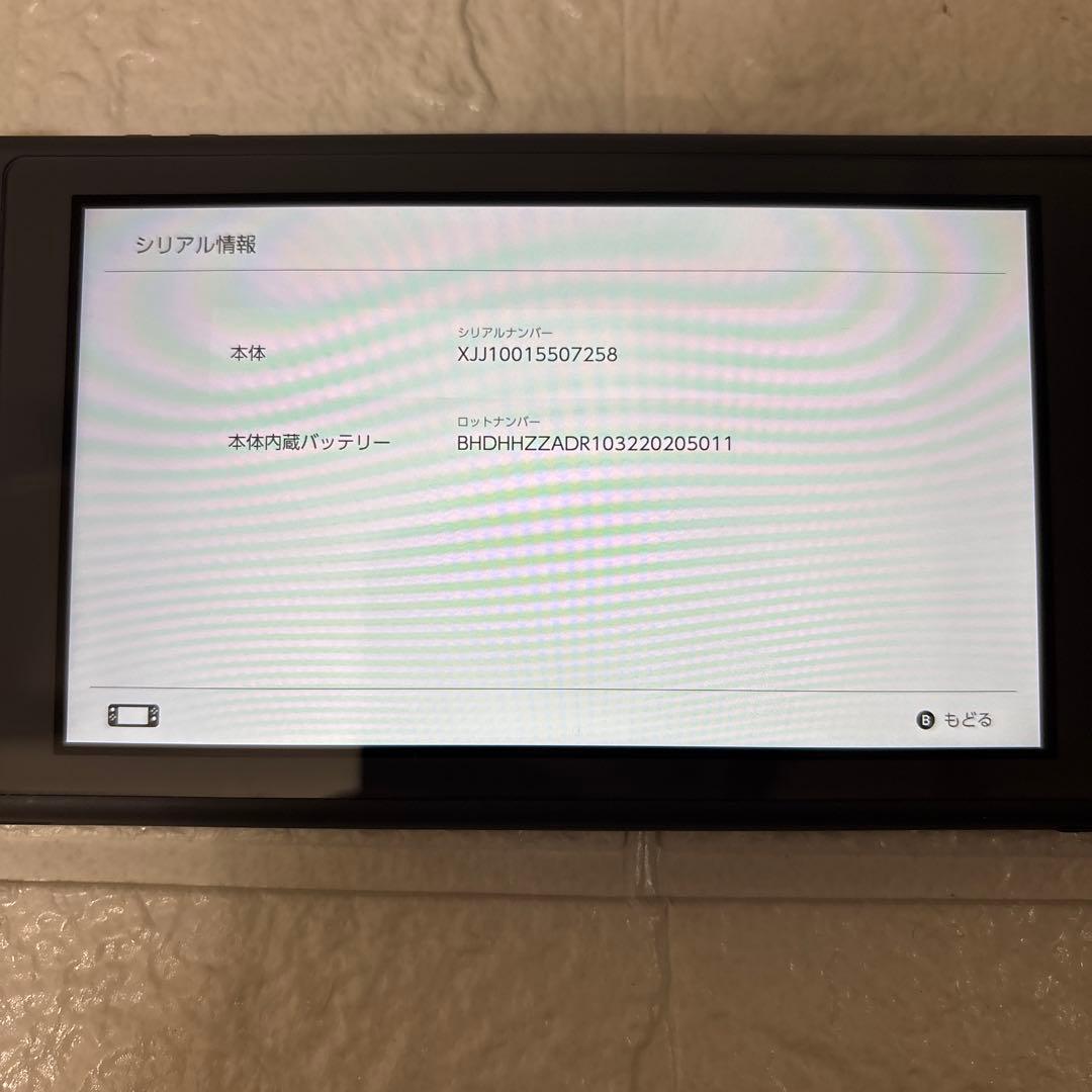 Nintendo Switch Lite ニンテンドースイッチライト グレー