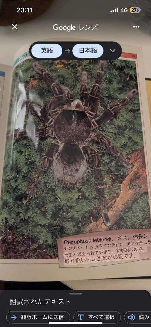 タランチュラの飼育書図鑑 ムカデセンチピードサソリ