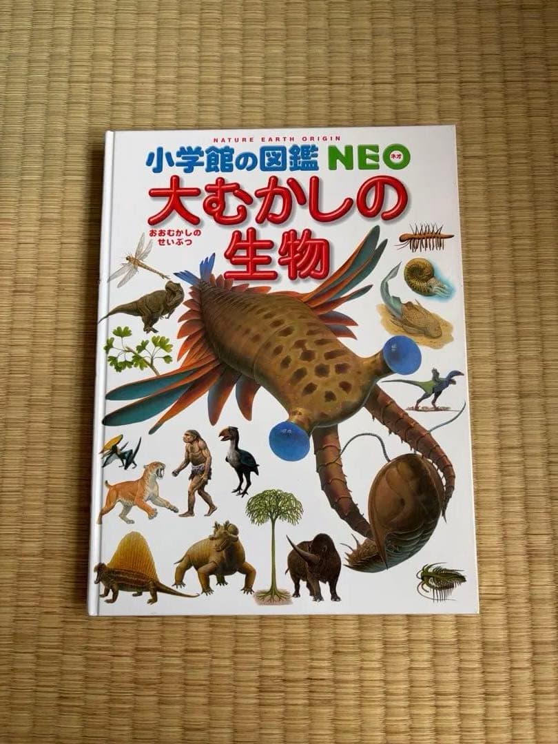 小学館の図鑑neo 12冊セット