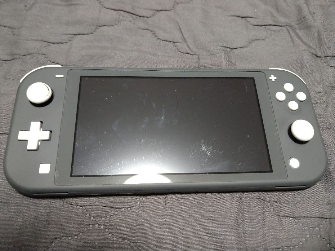 Nintendo Switch Lite 本体 箱 & カバー付き