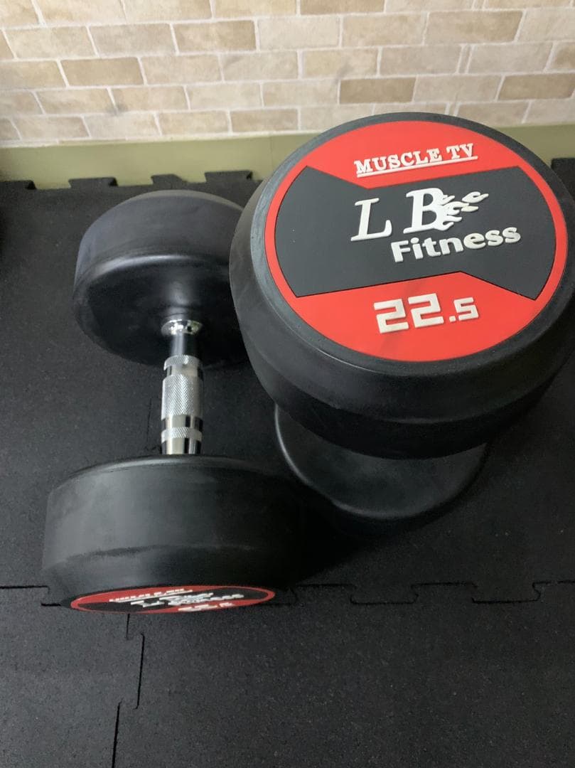 【半額販売】ラバーラウンドダンベル 20kg × 2個（合計40kg）