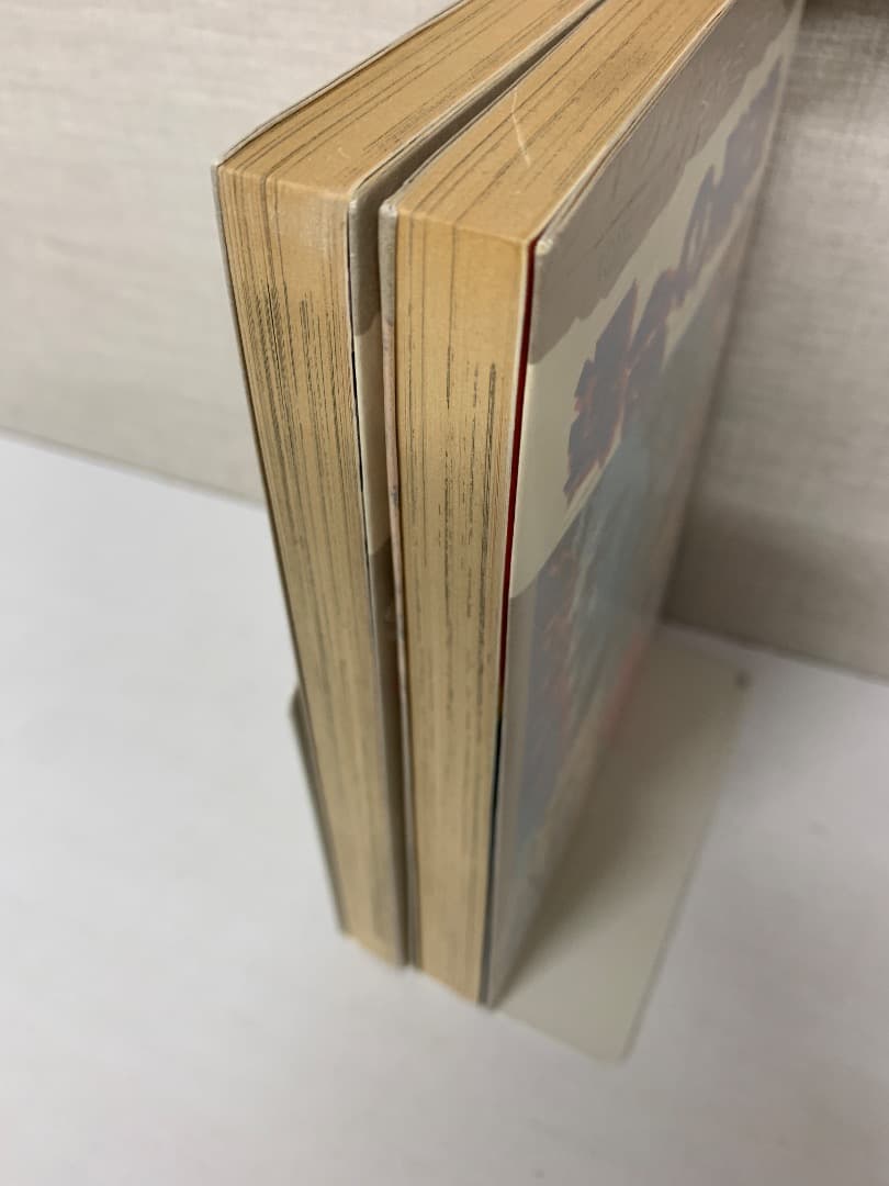 10 【初版あり】　運命の階段　堀江卓　ふたごの復讐　叶パンチョウ　主婦の友社