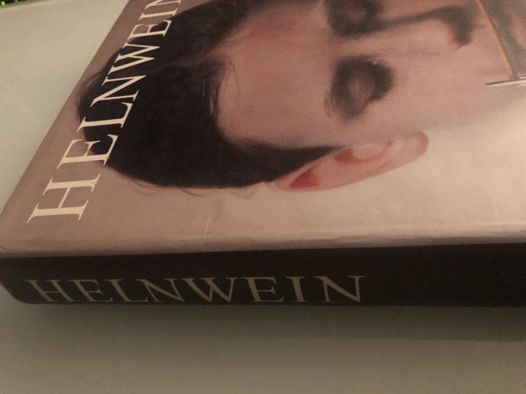 レアHELNWEIN作品集 大型本 洋書 Gottfried Helnwein