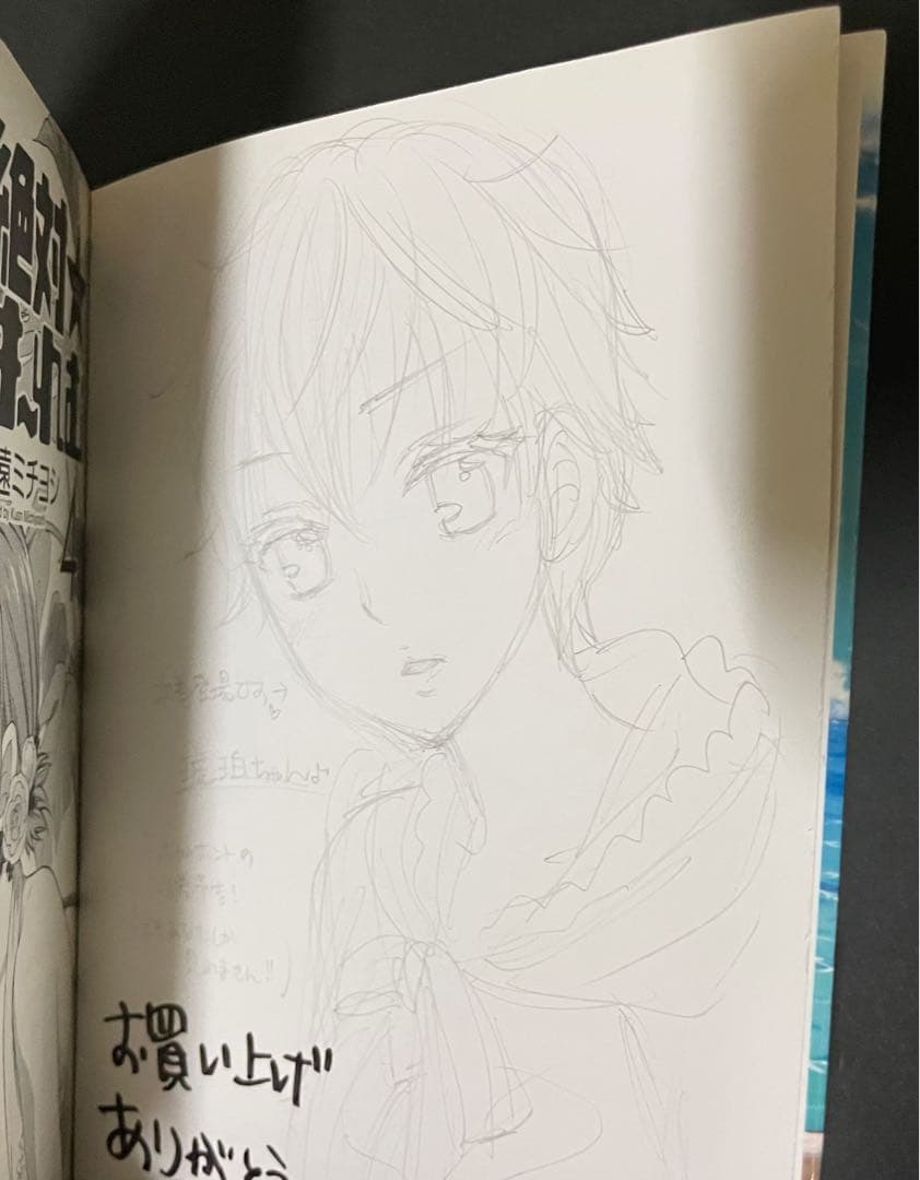 絶対★は〜れむ / イラストサイン入り初版本