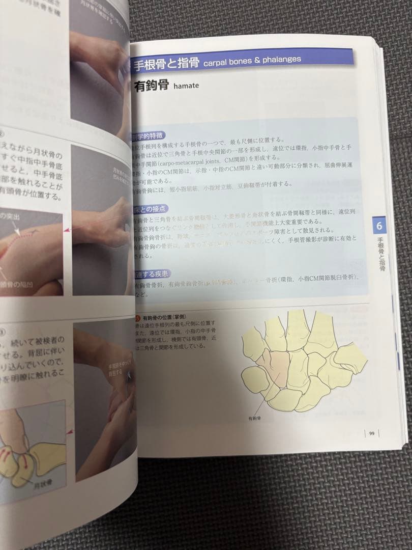 機能解剖学的触診技術 改訂第2版 2冊セット　理学療法士　作業療法士　リハビリ