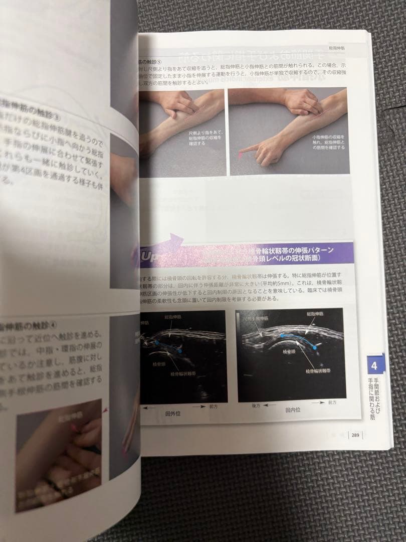 機能解剖学的触診技術 改訂第2版 2冊セット　理学療法士　作業療法士　リハビリ