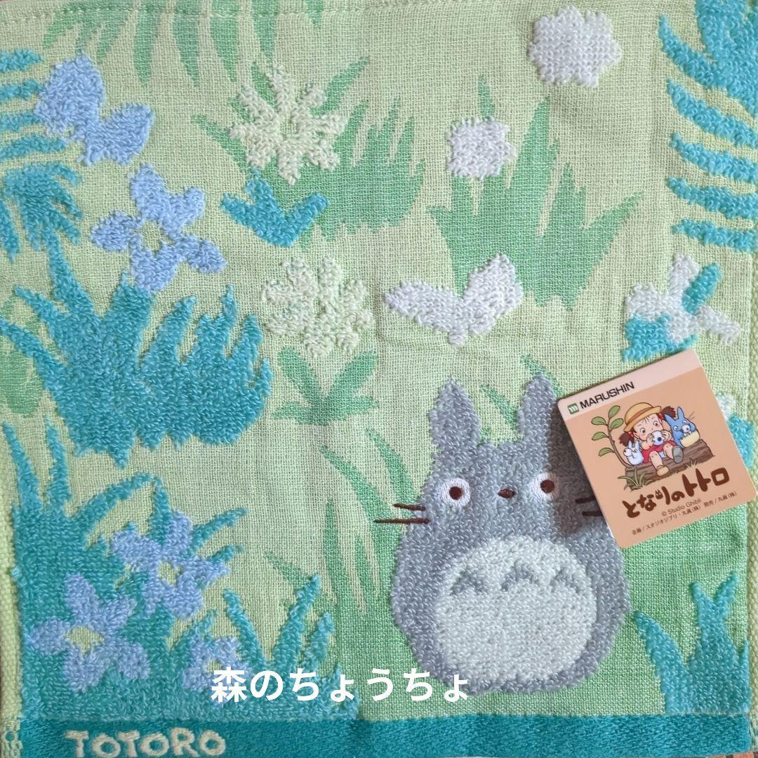 みえちんさんです✨