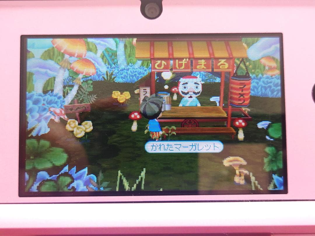 【動作保証】 3DS とんがりボウシと魔法の町