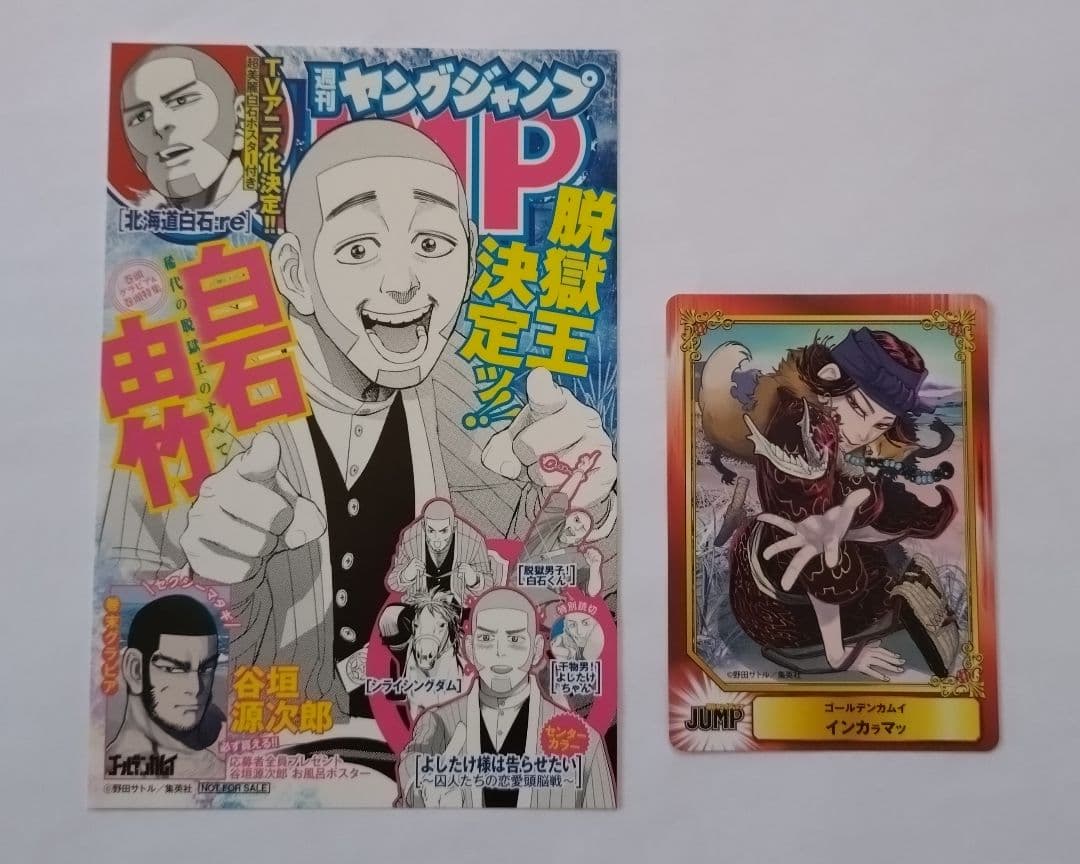 ゴールデンカムイ 単行本 15~31巻