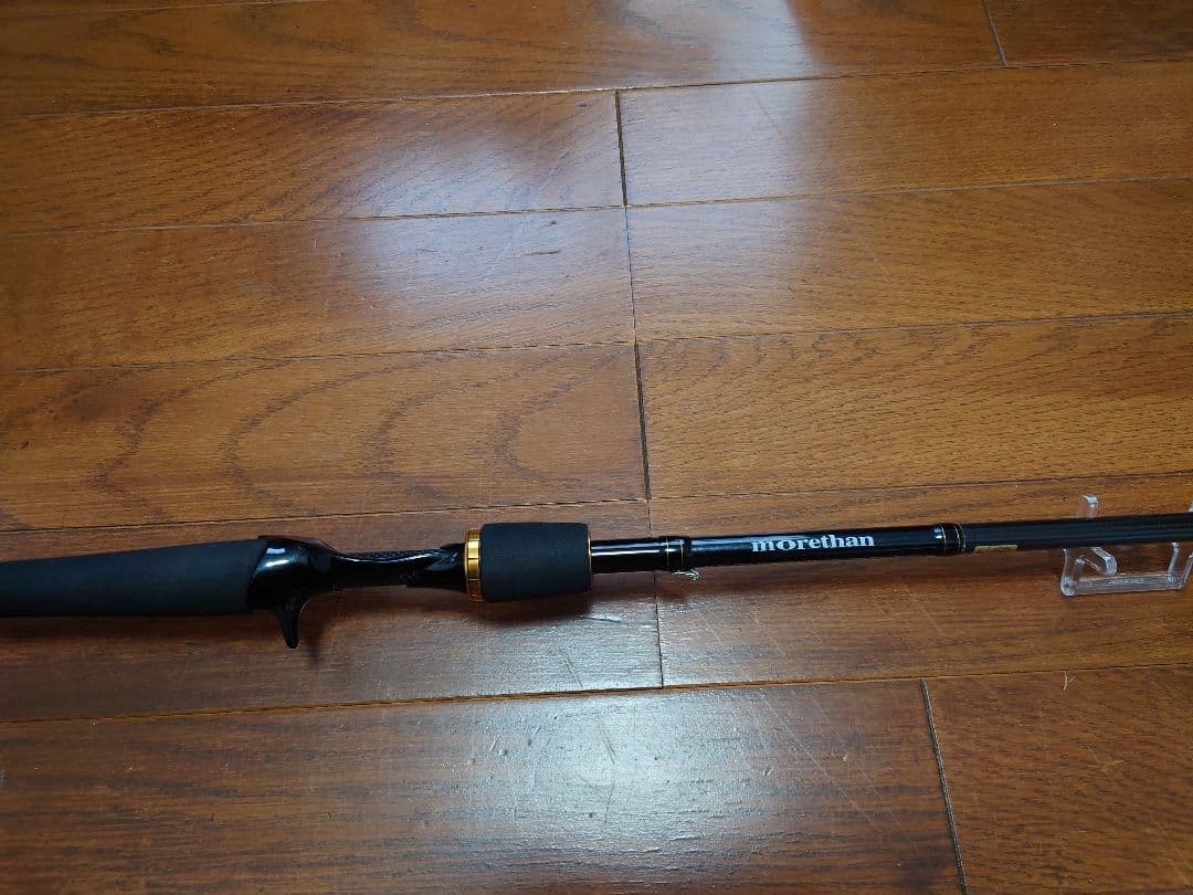 ダイワmorethan AGS 97MLB シーバスロッド。