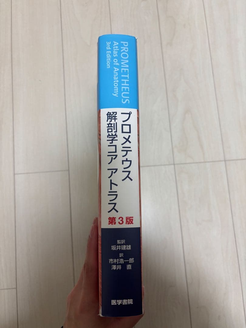 【使用感あり・まとめ買い可】プロメテウス解剖学 コア アトラス