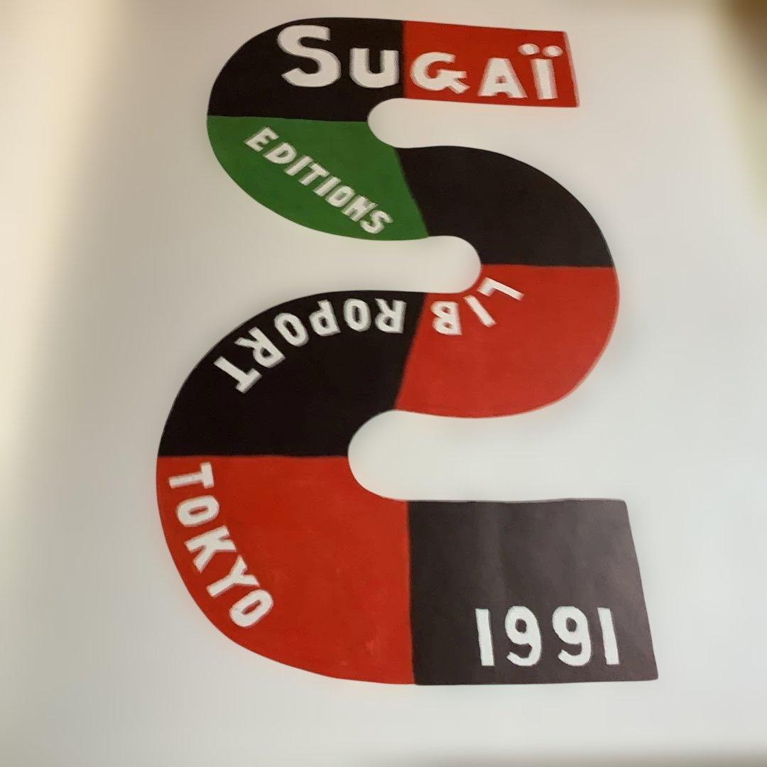 SUGAÏ アートブック菅井汲作品集