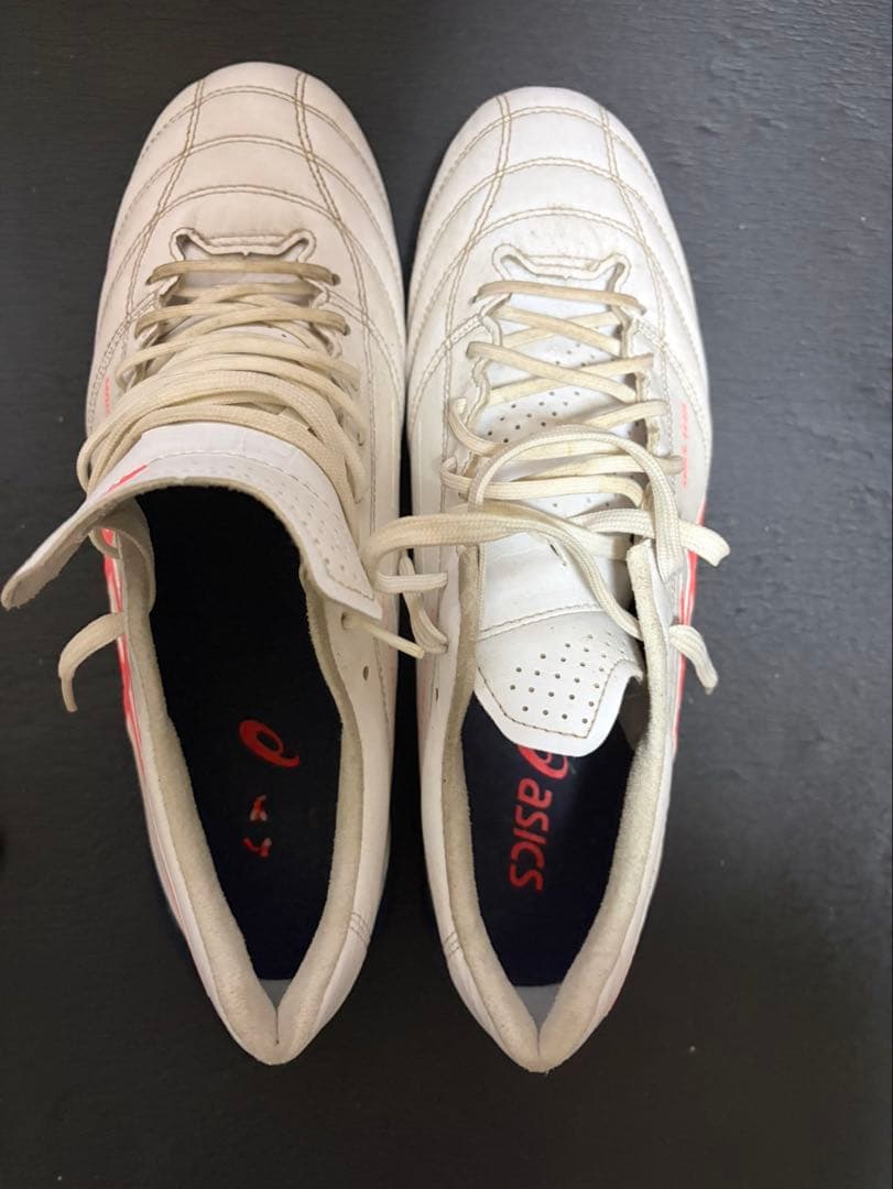 asics DS LIGHT X-FLY 取り替え