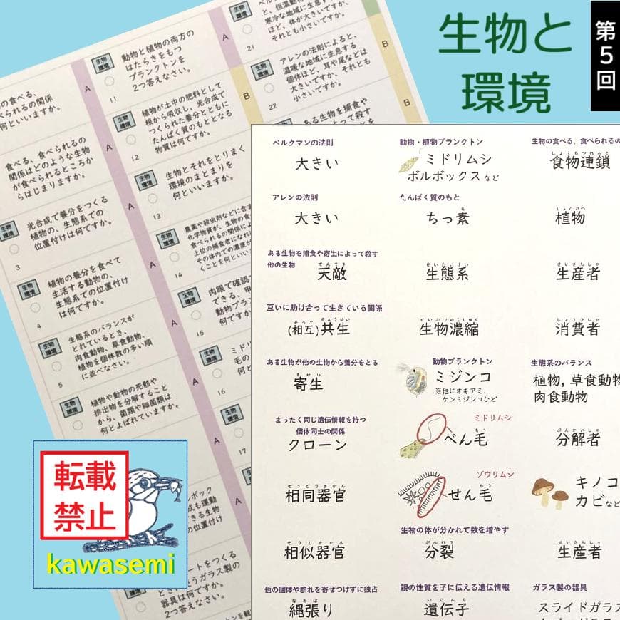 カット済☆最新版【中学受験】理科の基本事項 暗記カード フルセット 早稲アカa