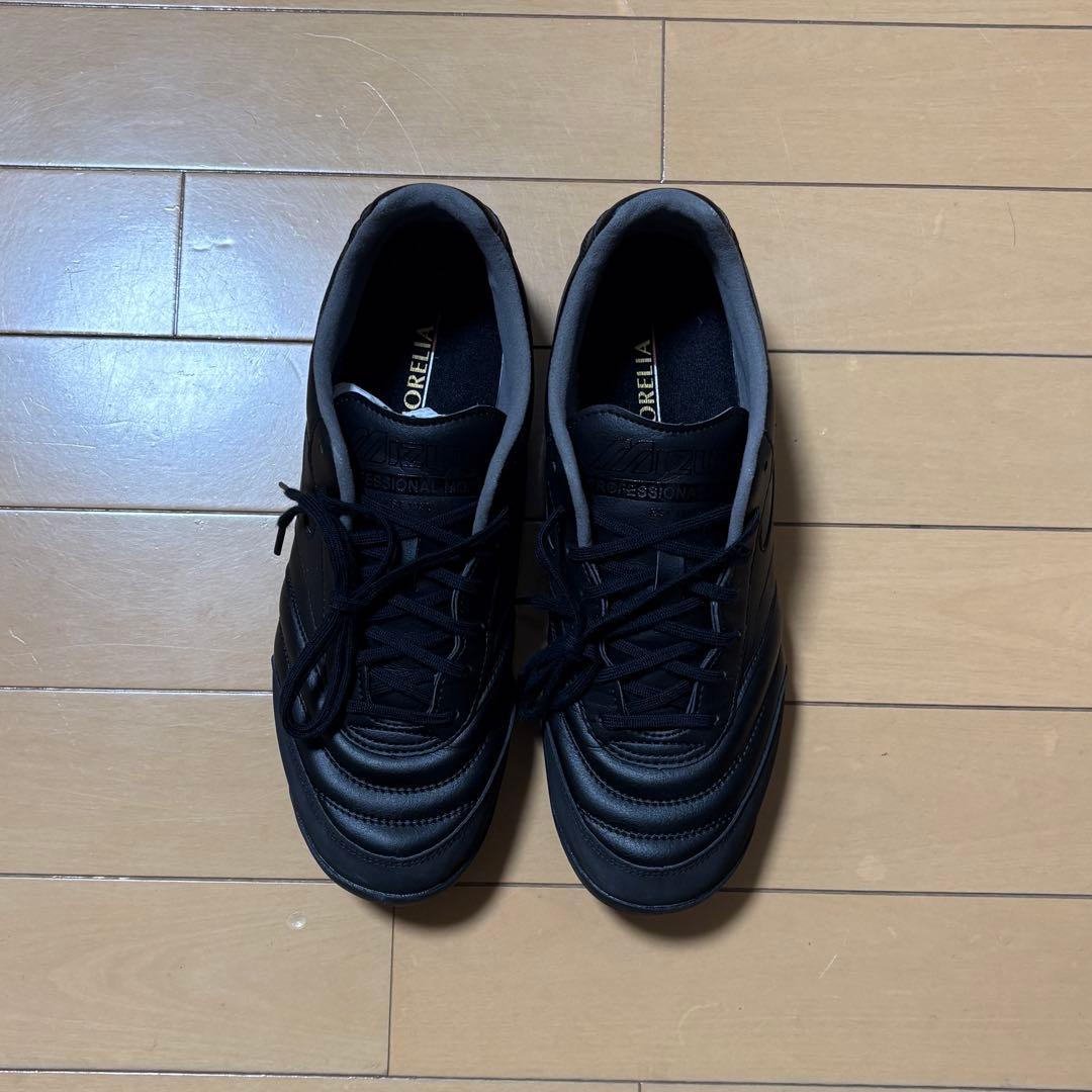 （サッカートレシュー）MIZUNO モレリアPRO TF