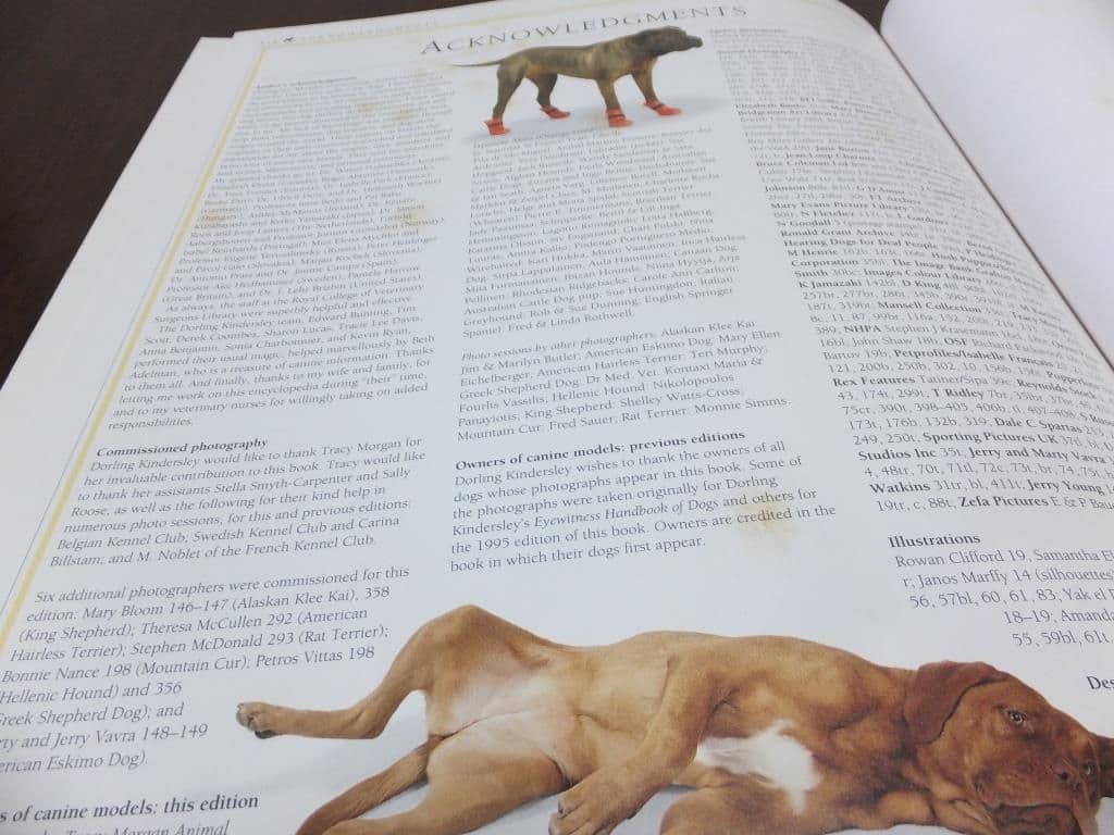 The new Encyclopedia of the DOG　洋書