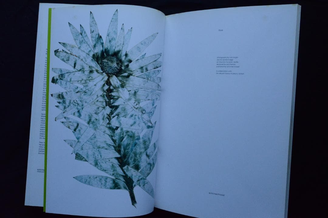 【Flora / Nick Knight】ニック・ナイト ★★未読品・美本