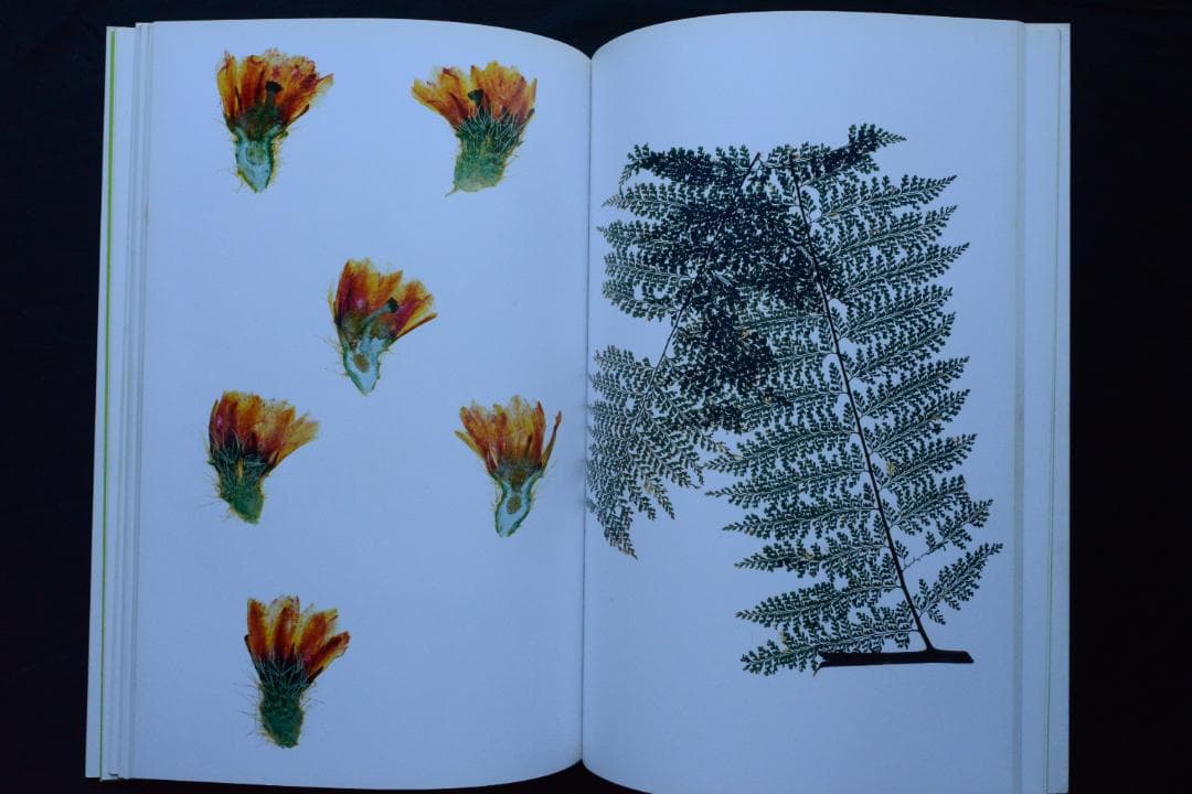 【Flora / Nick Knight】ニック・ナイト ★★未読品・美本