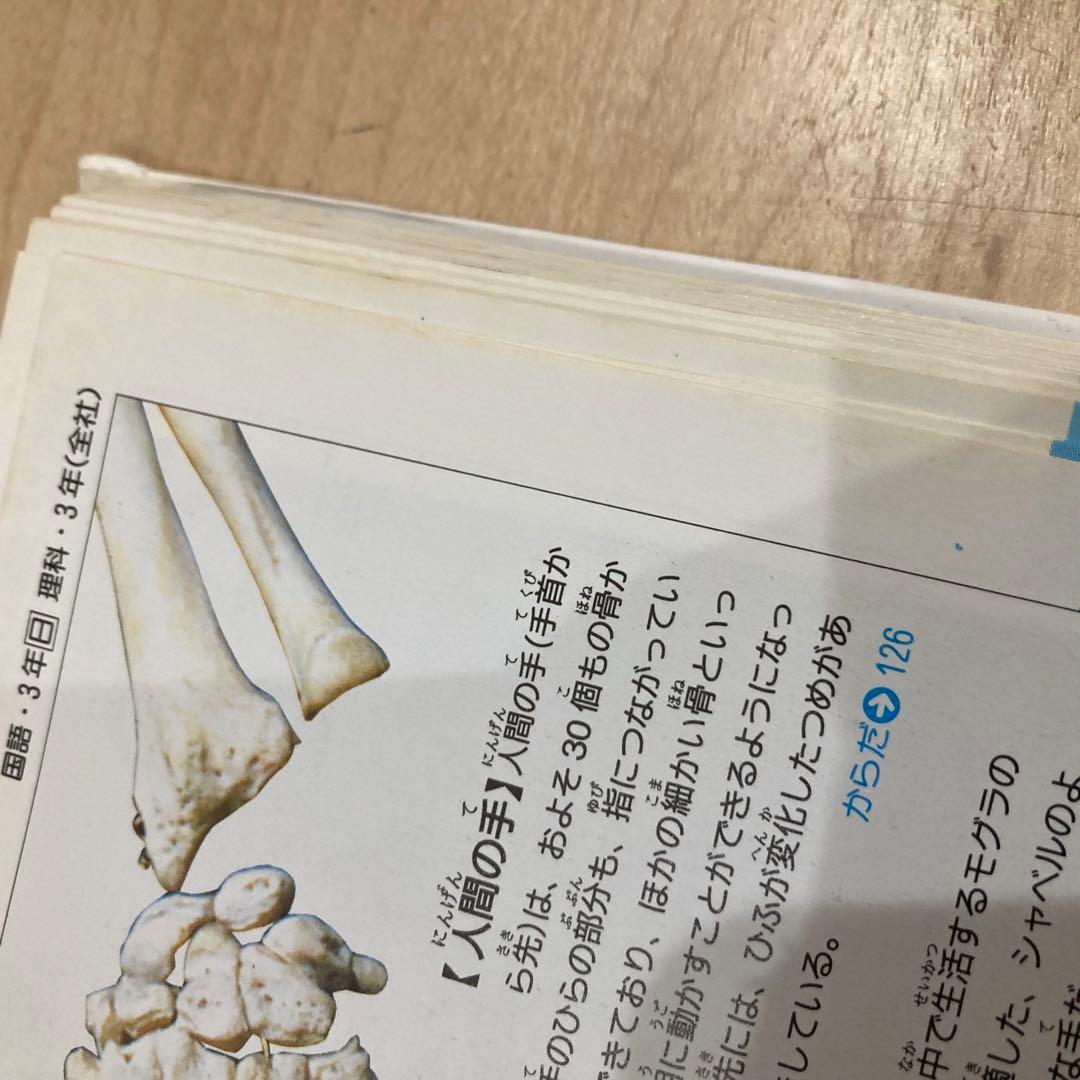 21世紀子ども百科　三冊セット