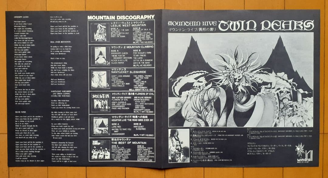 洋楽 Mountain Twin Peaks LP