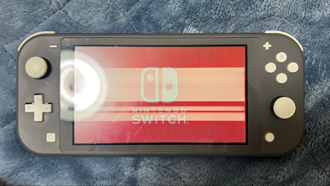 Nintendo Switch Liteジャンク品　充電器付き