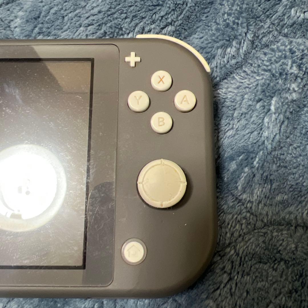 Nintendo Switch Liteジャンク品　充電器付き