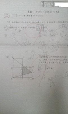 サピックス・難関校ＳＳ特訓＊６年＊算数／武蔵 対策プリント 全２４回完全版＊貴重