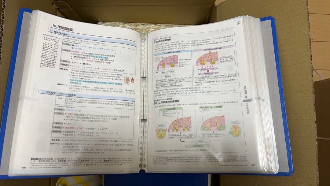 【裁断済み】　病気がみえる　9点セット 薬がみえる　3点セット