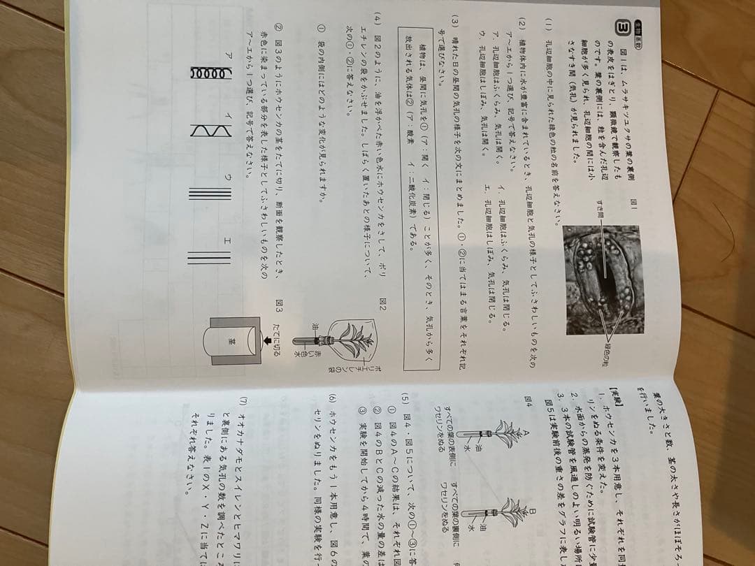 【ほぼ未使用状態】サピックス6年理科　SS特訓　知識論理力講座　全14回