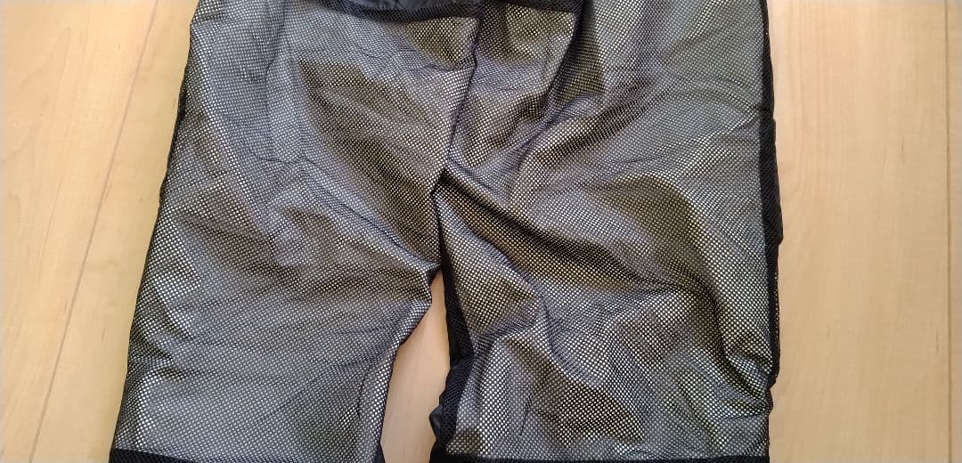 ザノースフェイスTHE NORTH FACE SCOOP PANTスノボパンツL